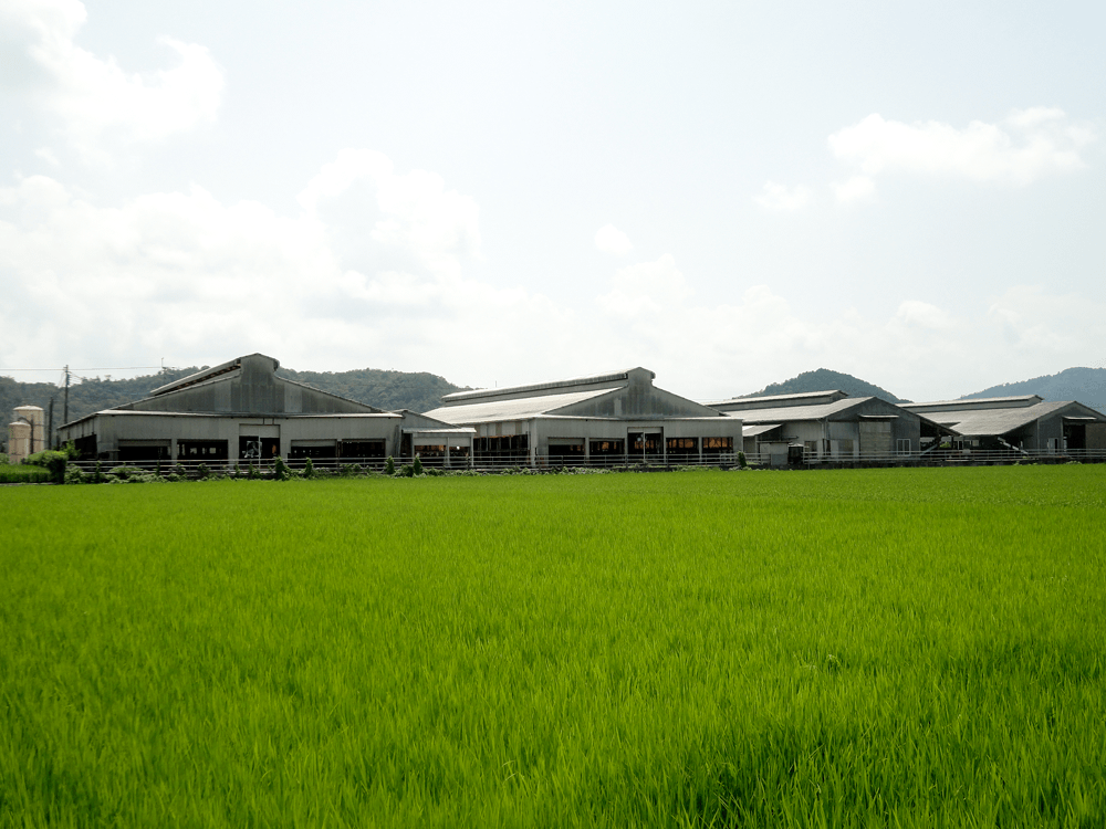 中川畜産」 近江牛 飼育・繁殖・卸・販売